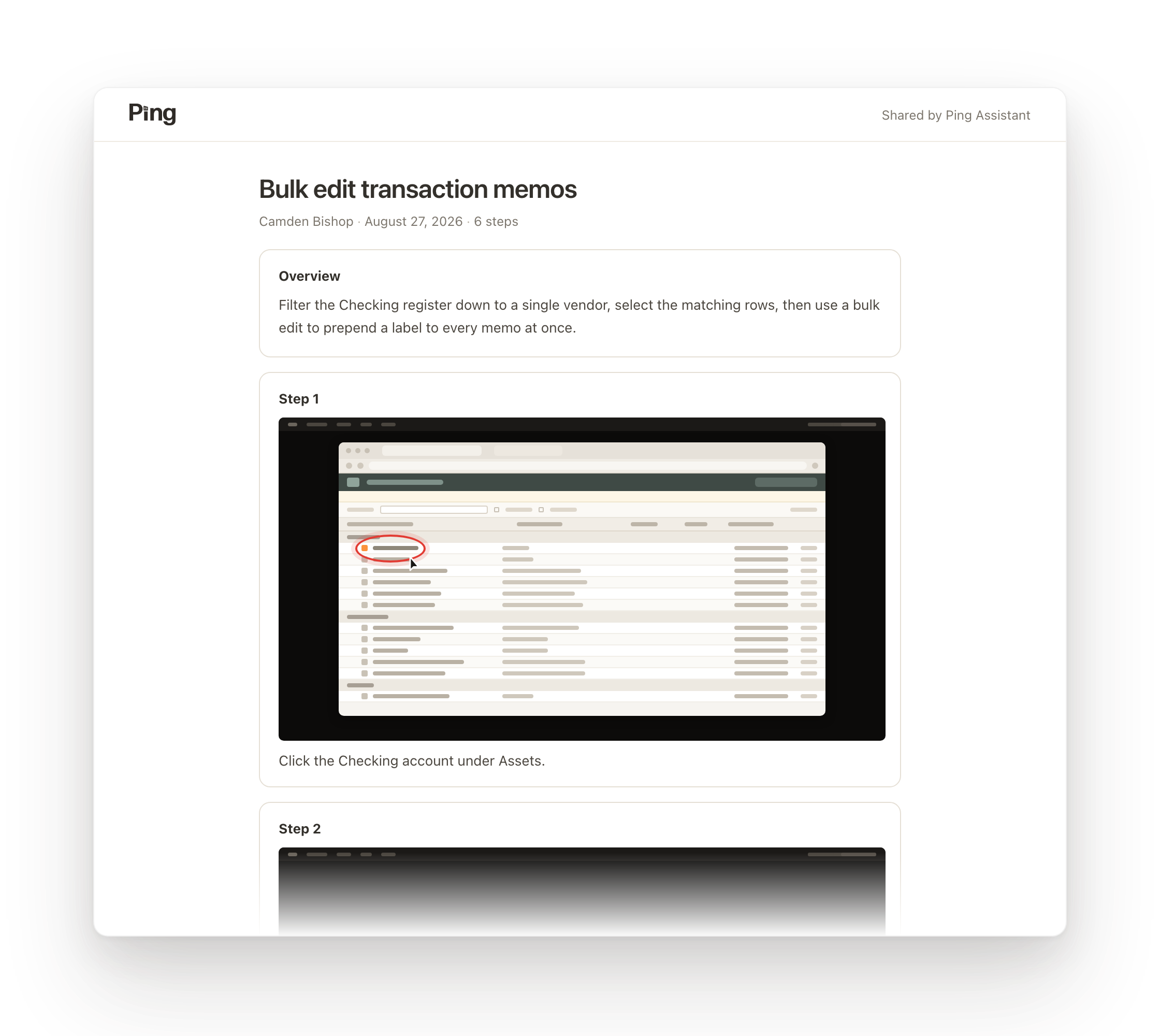 A Ping guide shared with a client: a step-by-step walkthrough with screenshots.